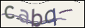 Проверочный код