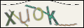 Проверочный код