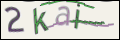 Проверочный код