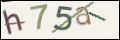 Проверочный код