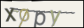 Проверочный код