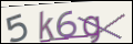 Проверочный код
