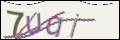 Проверочный код