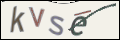 Проверочный код