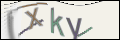 Проверочный код