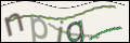 Проверочный код