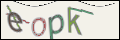 Проверочный код