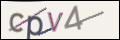 Проверочный код