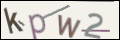Проверочный код