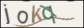 Проверочный код