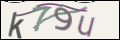 Проверочный код